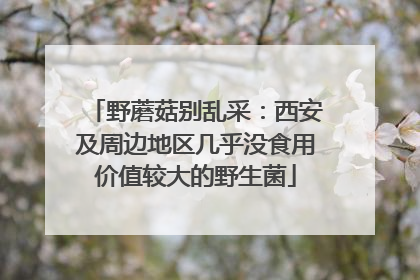 野蘑菇别乱采：西安及周边地区几乎没食用价值较大的野生菌